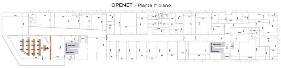 Openet Pianta Primo Piano
